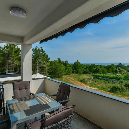 Apartman Olujic *